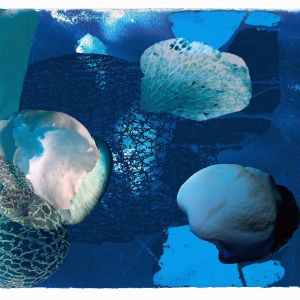 recent werk op papier in kleine oplage